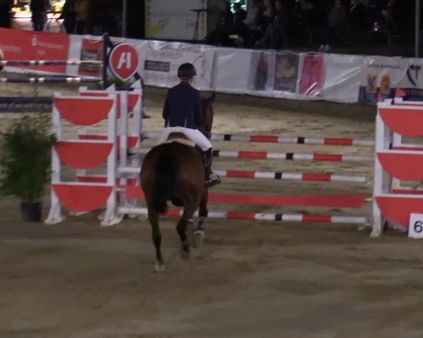 Reitturnier Leichlingen-Witzhelden 2019