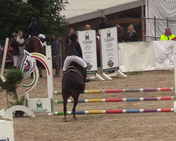 Reitturnier Leichlingen-Witzhelden 2019