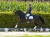 dressage horse Romano (Westphalian, 2013, from Ribery Gold)