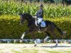 dressage horse Four Seasons (Westphalian, 2013, from For Romance I)