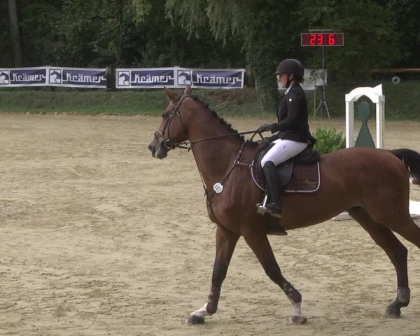 Reitturnier Walldorf/Winterheck 2019