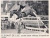 stallion Elegant de L'Ile (Selle Français, 1970, from Protocole xx)