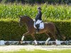 dressage horse Be my Lady (Westphalian, 2013, from Bretton Woods)