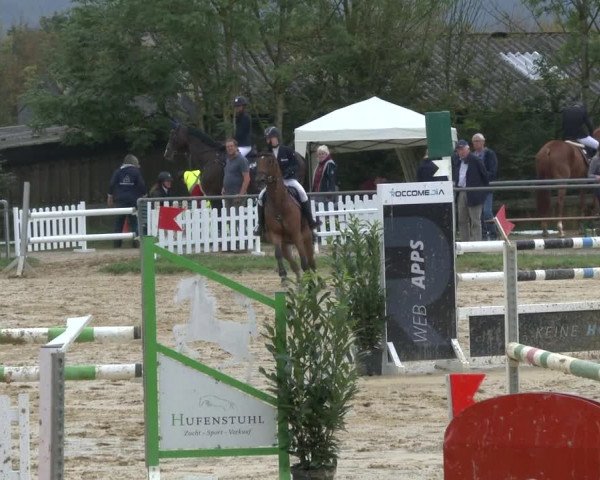 Reitturnier Bühren-Breckerfeld 2019