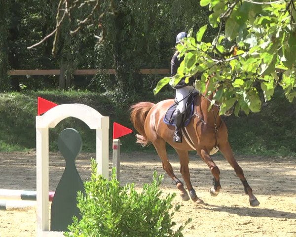 Reitturnier Walldorf/Winterheck 2019