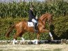 dressage horse Dillon 9 (Westphalian, 2013, from Duisenberg)