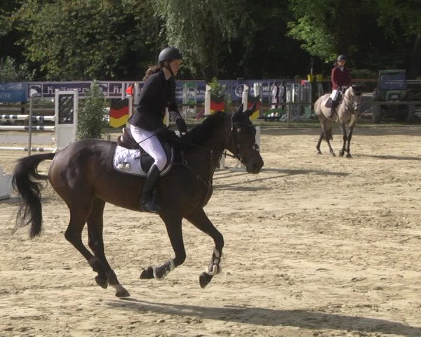 Reitturnier Walldorf/Winterheck 2019
