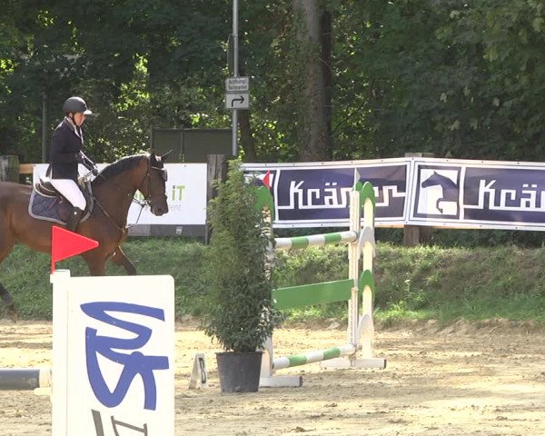 Reitturnier Walldorf/Winterheck 2019