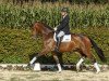 dressage horse Fürst Kilver KR (Westphalian, 2013, from Fürstenball)