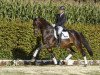 dressage horse Dubrafas (Westphalian, 2011, from Diatano)