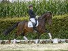 dressage horse Fit for you (Westphalian, 2013, from Franziskus FRH)