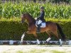 dressage horse Baron Von Nymphenburg (Westphalian, 2013, from Bordeaux 28)