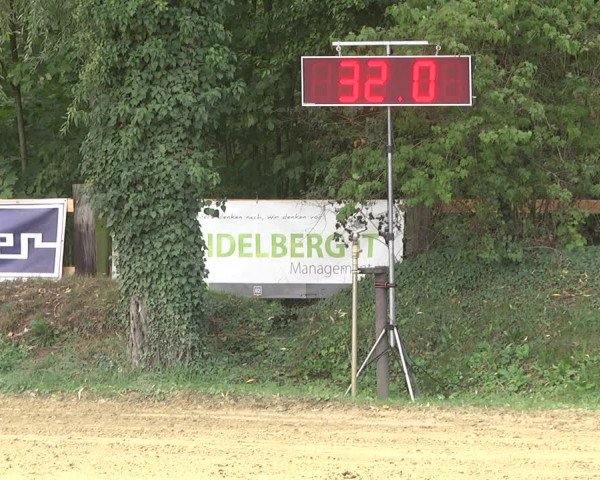 Reitturnier Walldorf/Winterheck 2019