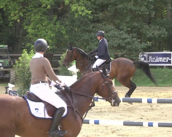 Reitturnier Walldorf/Winterheck 2019