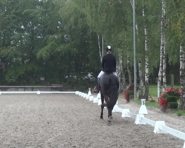 Reitturnier Würselen-Pley 2019