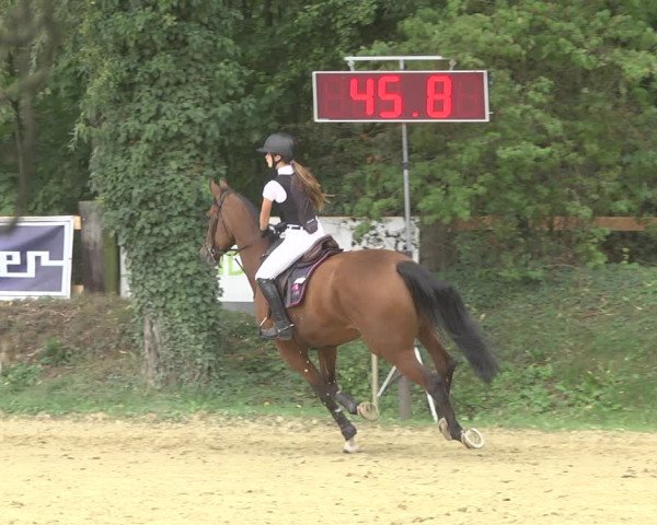 Reitturnier Walldorf/Winterheck 2019