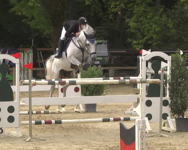 Reitturnier Walldorf/Winterheck 2019