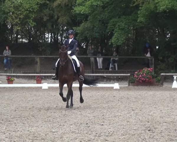 Reitturnier Würselen-Pley 2019