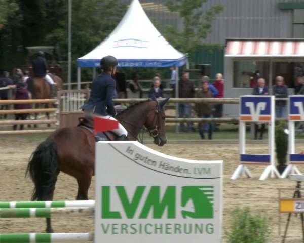 Reitturnier Albersloh 2019