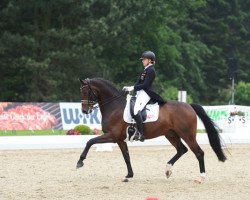 dressage horse Der Prinz 4 (Hanoverian, 2007, from Diamond Hit)