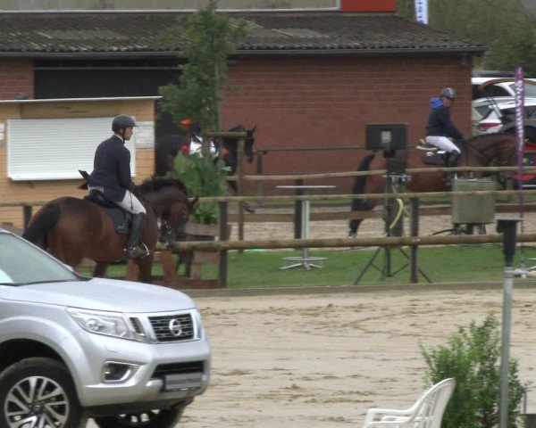 Reitturnier Albersloh 2019