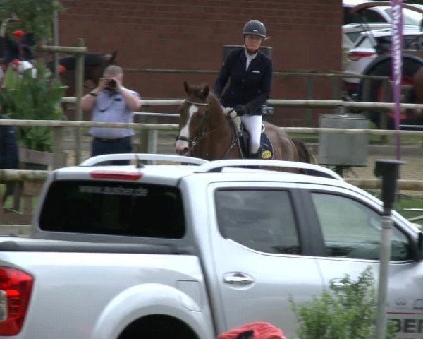 Reitturnier Albersloh 2019