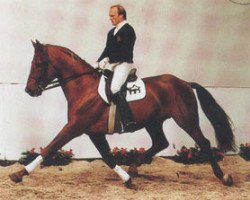 stallion Westrich I (Hanoverian, 1979, from Werther)