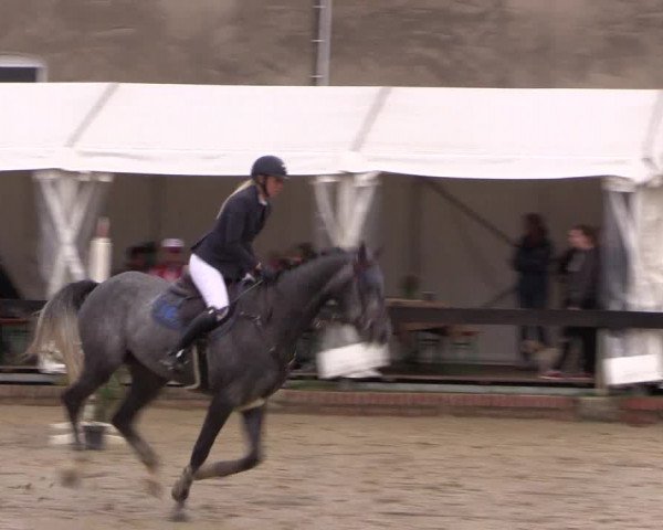 Reitturnier Buchenhof-Ibbenbüren 2019