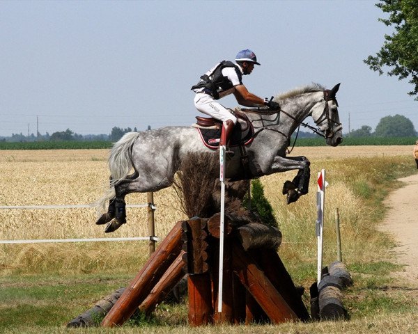 Pferd Onyx de Barbereau (Selle Français, 2002, von Be Bop III)