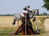 Springpferd Onyx de Barbereau (Selle Français, 2002, von Be Bop III)