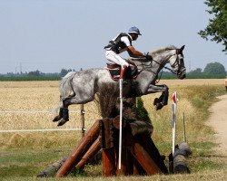 Springpferd Onyx de Barbereau (Selle Français, 2002, von Be Bop III)