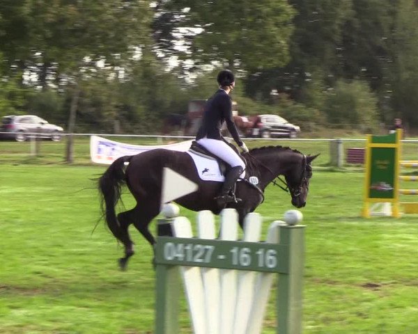 Reitturnier Kellinghusen 2019
