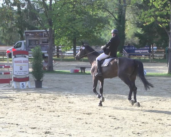 Reitturnier Walldorf/Winterheck 2019