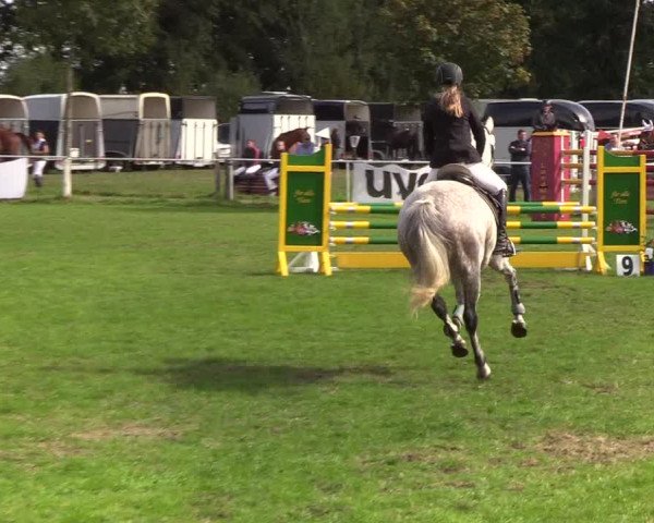 Reitturnier Kellinghusen 2019