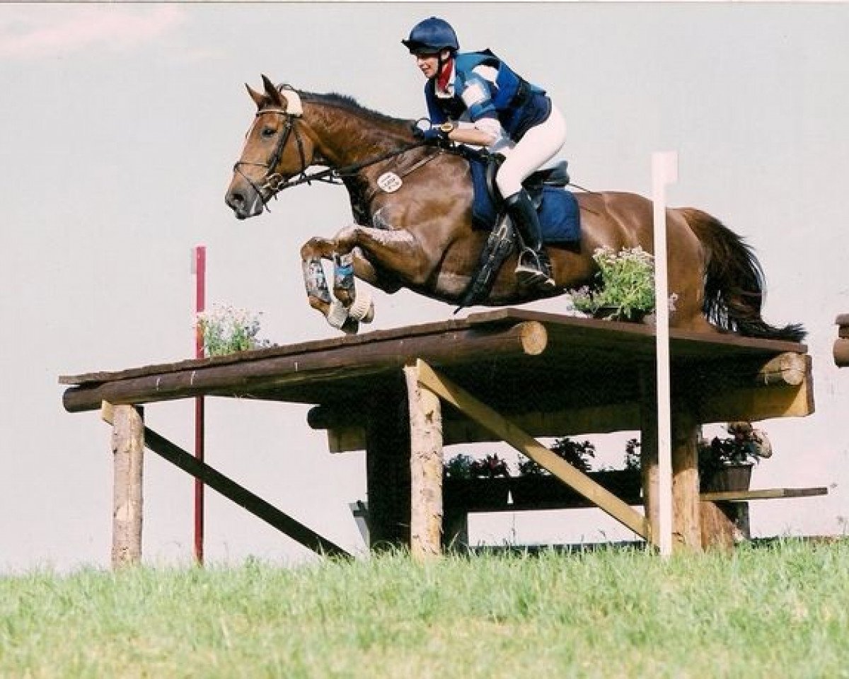 broodmare Not a Freak 2 (Irish Sport Horse, 1992, from The Freak xx)