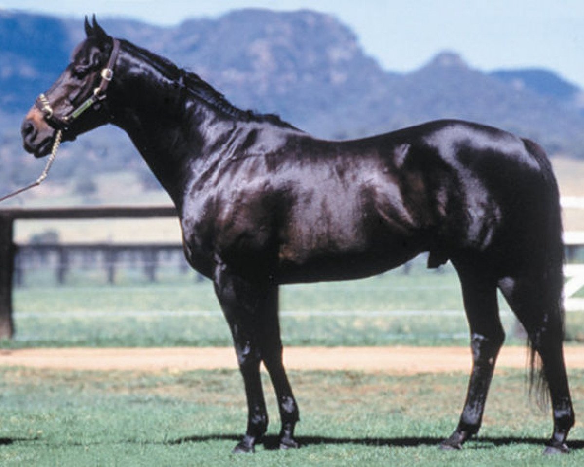 stallion Bletchingly xx (Thoroughbred, 1970, from Biscay xx)