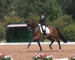 Dressurpferd Rocher O (Dänisches Warmblut, 2006, von Glock's Romanov)