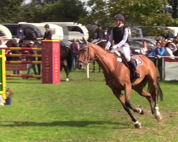 Reitturnier Kellinghusen 2019
