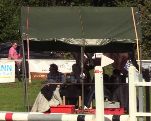 Reitturnier Kellinghusen 2019