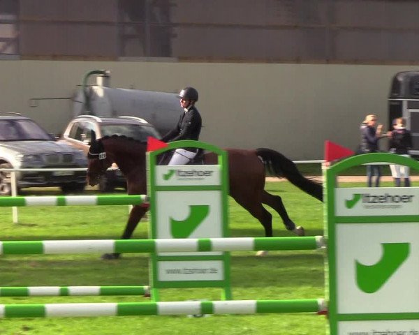 Reitturnier Kellinghusen 2019