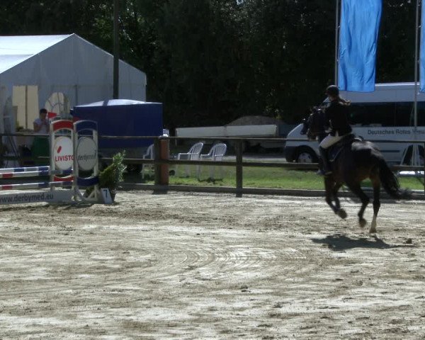Reitturnier Albersloh 2019