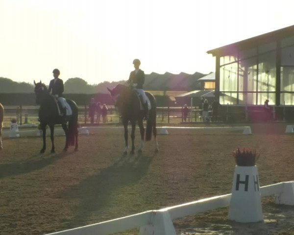 Reitturnier Swisttal-Miel 2019
