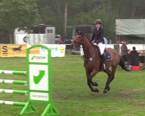 Reitturnier Kellinghusen 2019