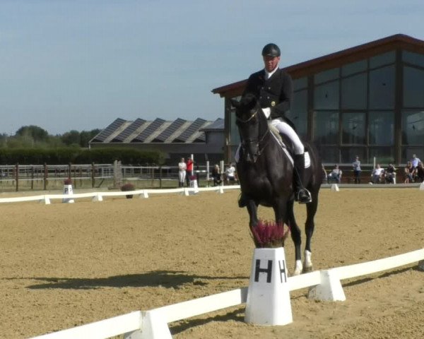 Reitturnier Swisttal-Miel 2019