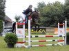 jumper Sky of Sirius (German Warmblood, 2011, from Shadow Jumper)