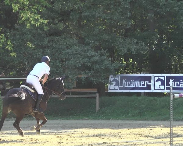 Reitturnier Walldorf/Winterheck 2019