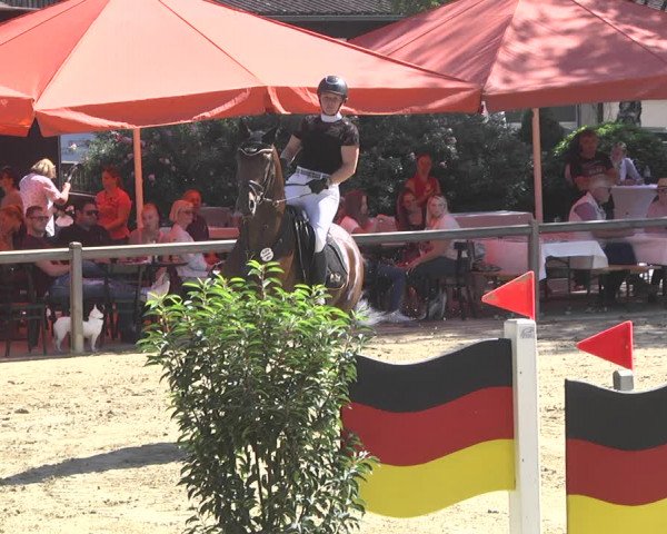 Reitturnier Walldorf/Winterheck 2019