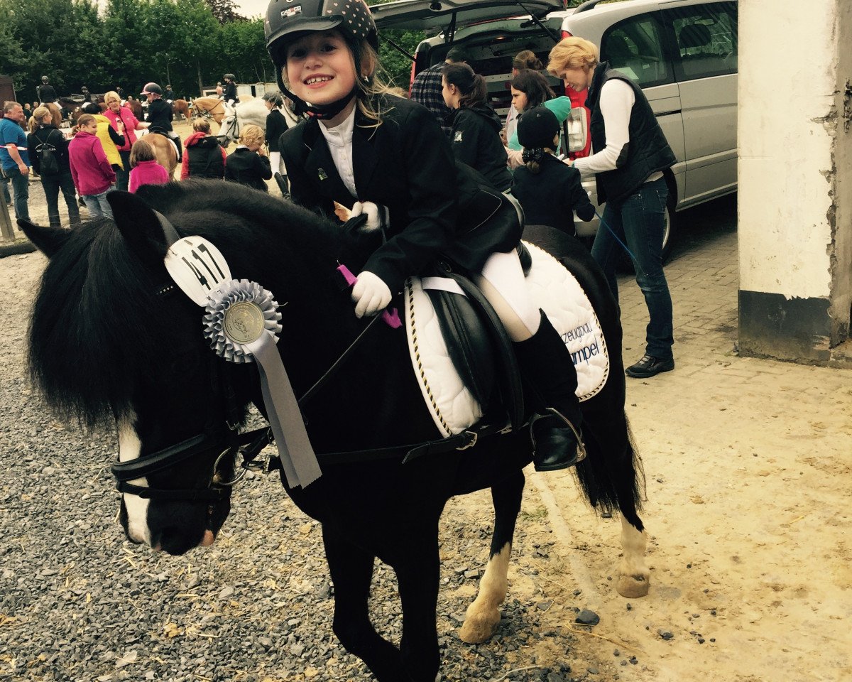 Dressurpferd Lucky Star (Welsh Pony (Sek.B), 1996)