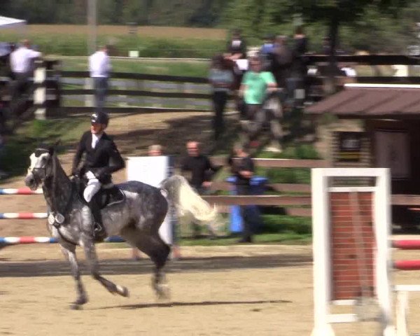 Reitturnier Buchenhof-Ibbenbüren 2019