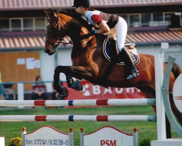 Springpferd Regia 3 (Polnisches Warmblut, 2004, von Las Minas)